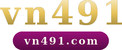vn491 logo
